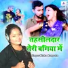 About Tahsildaar Teri Bagiya Me Song